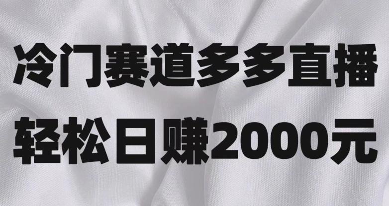 冷门赛道拼多多直播，简单念稿子，日收益2000＋【揭秘】-小鹏项目网