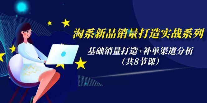 (9962期)淘系新品销量打造实战系列，基础销量打造+补单渠道分析(共8节课)-小鹏项目网