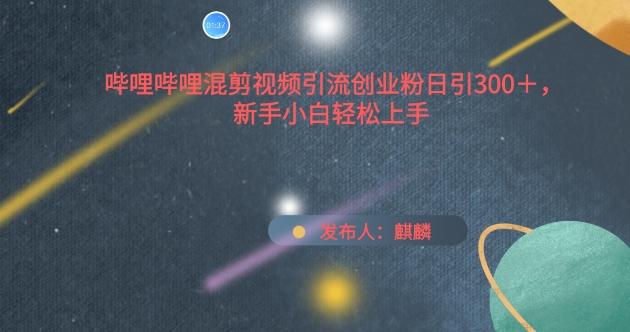 哔哩哔哩混剪视频引流创业粉日引300+，新手小白轻松上手【揭秘】-小鹏项目网