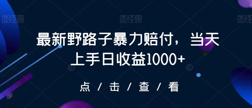 最新野路子暴力赔付，当天上手日收益1000+【仅揭秘】-小鹏项目网