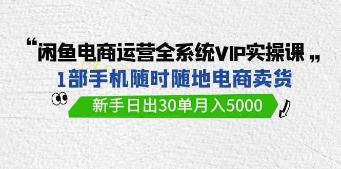 (9547期)闲鱼电商运营全系统VIP实战课，1部手机随时随地卖货，新手日出30单月入5000-小鹏项目网