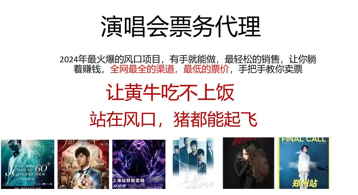 演唱会票务代理，2024年最火爆风口项目，全网最低的票价，小白一分钟上…-小鹏项目网
