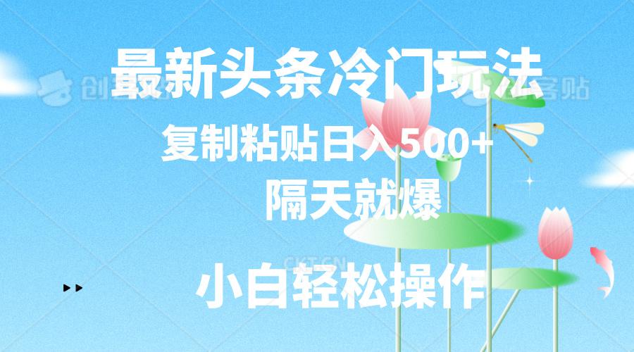 最新头条冷门玩法，隔天就爆，复制粘贴日入500+-小鹏项目网