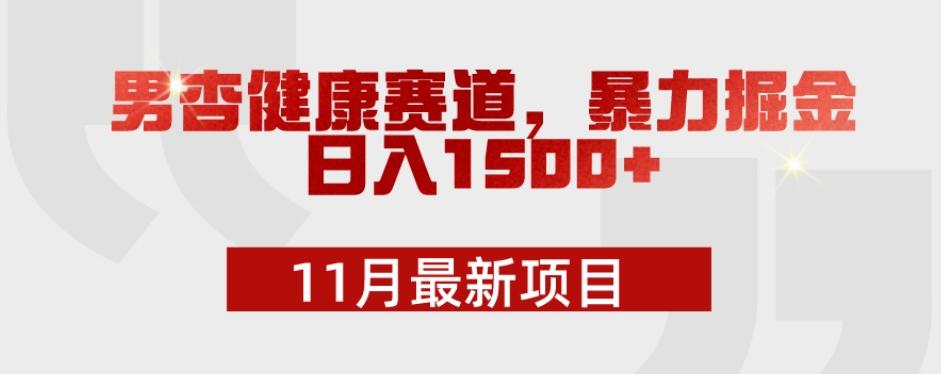 11月最新项目，男杏健康赛道，暴力掘金，日入1500+-小鹏项目网