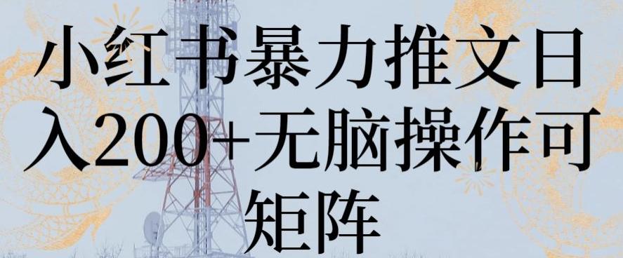 小红书暴力推文日入200+无脑操作可矩阵【揭秘】-小鹏项目网