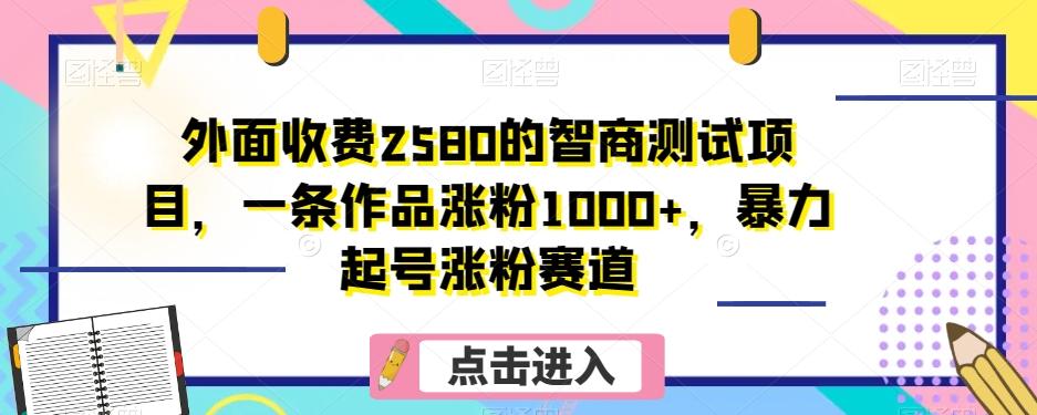 外面收费2580的智商测试项目，一条作品涨粉1000+，暴力起号涨粉赛道【揭秘】-小鹏项目网