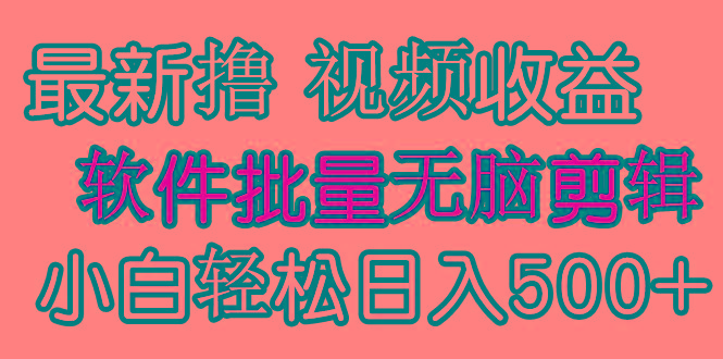 (9569期)发视频撸收益，软件无脑批量剪辑，第一天发第二天就有钱-小鹏项目网