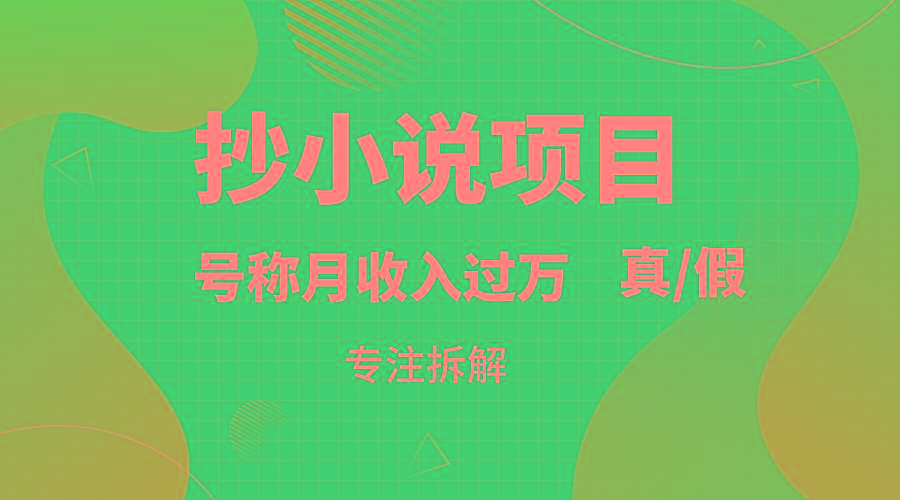 抄小说项目，号称月入过万，到底是否真实，能不能做，详细拆解-小鹏项目网