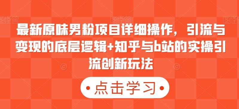 最新原味男粉项目详细操作，引流与变现的底层逻辑+知乎与b站的实操引流创新玩法-小鹏项目网