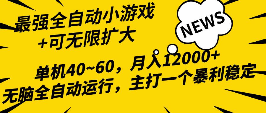 (10046期)2024最新全网独家小游戏全自动，单机40~60,稳定躺赚，小白都能月入过万-小鹏项目网