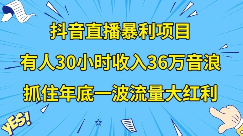 抖音直播暴利项目，有人30小时收入36万音浪，公司宣传片年会视频制作，抓住年底一波流量大红利【揭秘】-小鹏项目网