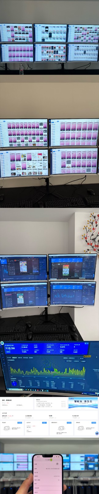 实操项目合集 挂机类型 直播类型 轻资产创业类型 课程分享各项目介绍和原理-小鹏项目网