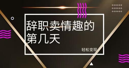 冷门赛道，辞职卖情趣的第几天，超暴力项目-小鹏项目网