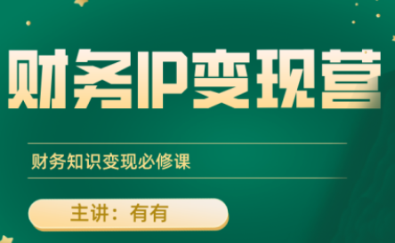有有老师·财务IP变现营，财务知识变现必修课-小鹏项目网