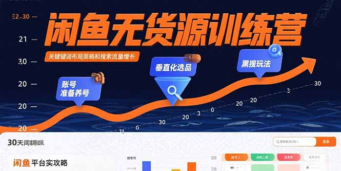 闲鱼无货源训练营：账号准备养号/垂直化选品/黑搜玩法，0基础30天盈利指南-小鹏项目网