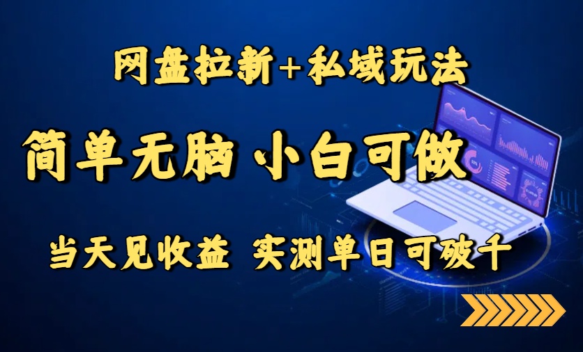 网盘拉新+私域玩法，简单无脑，小白可做，当天见收益，实测单日可破千-小鹏项目网