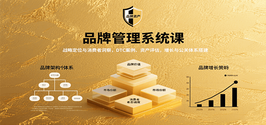 品牌管理系统课：战略定位与消费者洞察，DTC案例、资产评估，增长与公关体系搭建-小鹏项目网