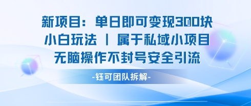 新项目单日即可变现3张的小白玩法无脑操作不封号安全引流-小鹏项目网