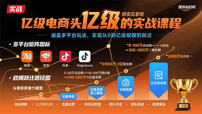 亿级电商头部卖家的实战课程：涵盖多平台玩法，实现从0到亿级规模的跃迁-小鹏项目网