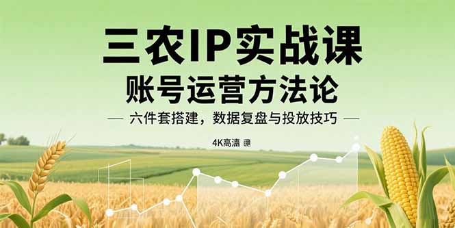 三农IP实战课：账号运营方法论，六件套搭建，数据复盘与投放技巧-小鹏项目网