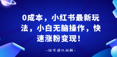 0成本，小红书最新玩法，小白无脑操作，快速涨粉变现-小鹏项目网