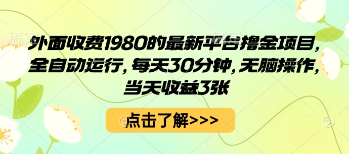 外面收费1980的最新平台撸金项目，全自动运行，每天30分钟，无脑操作，当天收益3张【揭秘】-小鹏项目网