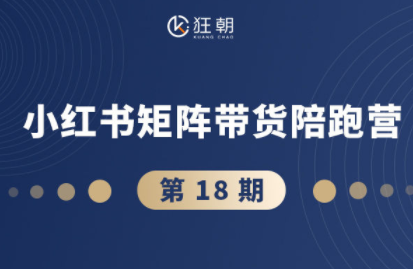 盗坤·抖音小红书视频号短视频带货与直播变现(11-18期)-小鹏项目网
