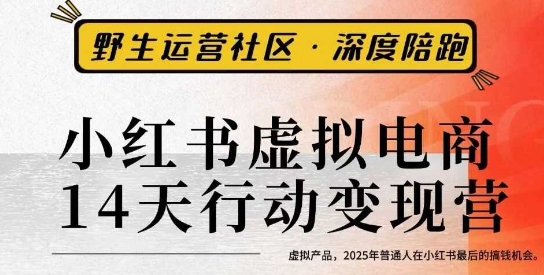 小红书虚拟电商14天变现训练营3.0，​虚拟产品，2025年普通人在小红书最后的搞钱机会-小鹏项目网