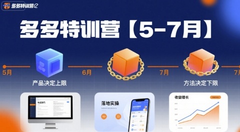 多多特训营，产品决定上限，方法决定下限，各种玩法技巧落地实操(更新)-小鹏项目网