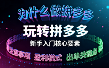 新手小白如何做拼多多-小鹏项目网