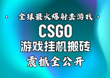 【年底大揭秘】基于全球最火爆的射击CSGO游戏挂G搬砖，日入5张+，震撼公开-小鹏项目网