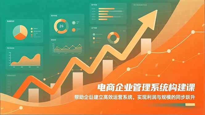 电商企业管理系统构建课：帮助企业建立高效运营系统，实现利润与规模的同步跃升-小鹏项目网
