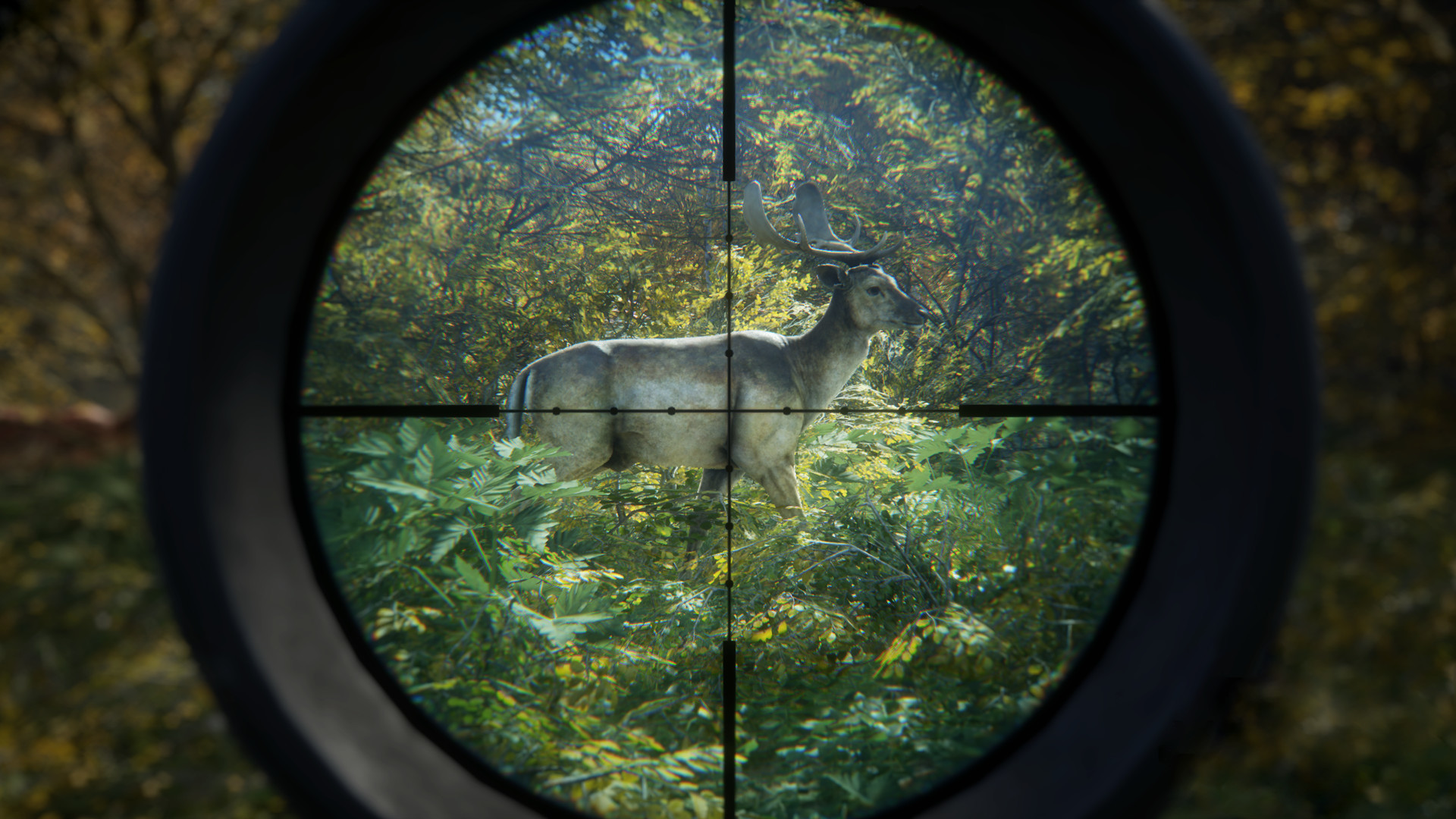 《猎人：荒野的召唤/theHunter: Call of the Wild》PC中文版下载-含v3101875-小鹏项目网