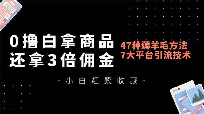 0撸白拿商品，还拿3倍佣金，47种薅羊毛方法，7大平台全方位引流技术教学，精专月入过万-小鹏项目网