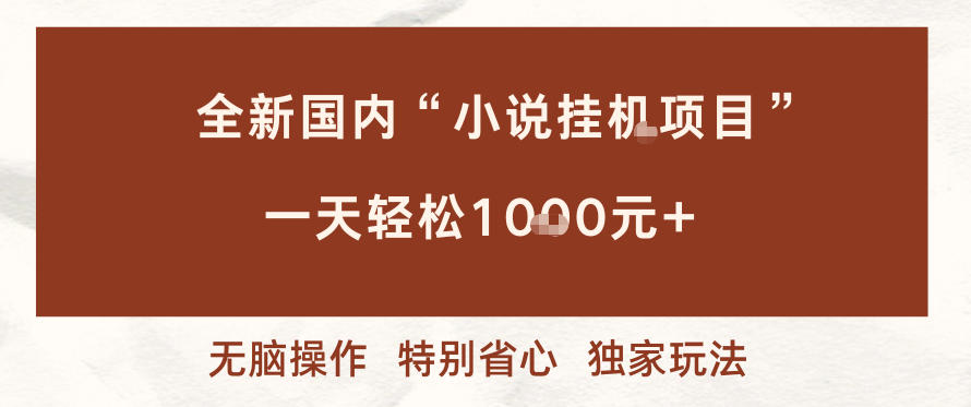 全新国内小说挂G项目，多窗口无脑跑，一天轻松1k+，特别省心【揭秘】-小鹏项目网