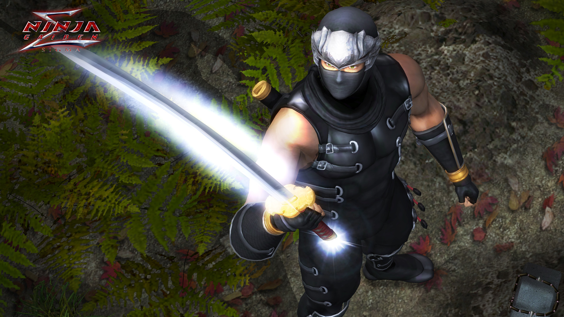 《忍者龙剑传：大师合集/NINJA GAIDEN: Master Collection》PC中文版下载-含v1.0.0.3-小鹏项目网