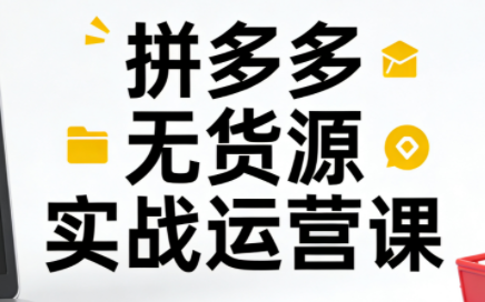 子枫老师·拼多多无货源实战运营课(更新12月)-小鹏项目网
