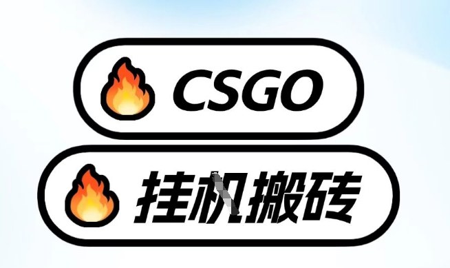 真全网独家CSGO挂G，最新玩法,单日捡漏1K+，不用电脑，不用打游戏【揭秘】-小鹏项目网