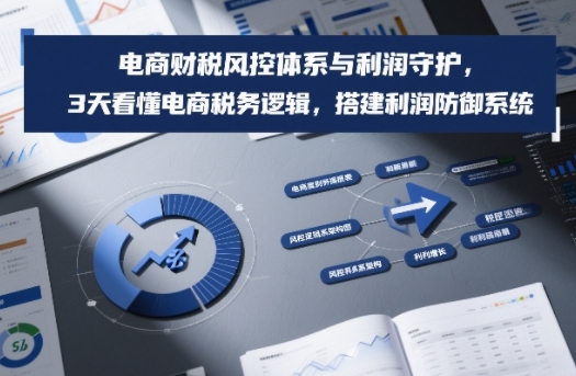 电商财税风控体系与利润守护，3天看懂电商税务逻辑，搭建利润防御系统-小鹏项目网