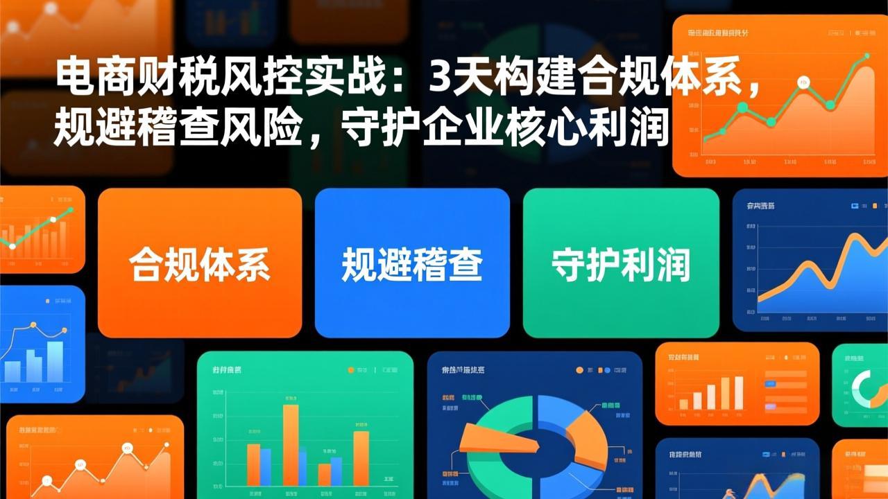 电商财税风控实战：3天构建合规体系，规避稽查风险，守护企业核心利润-小鹏项目网