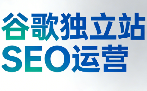 谷歌独立站SEO运营(更新2026)-小鹏项目网