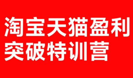 玺承·淘宝天猫盈利突破特训营(25年12月线下课)【音频+字幕】-小鹏项目网
