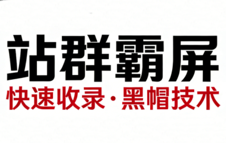 SEO野路子实战全集：快速收录、站群霸屏、黑帽技术(更新)-小鹏项目网