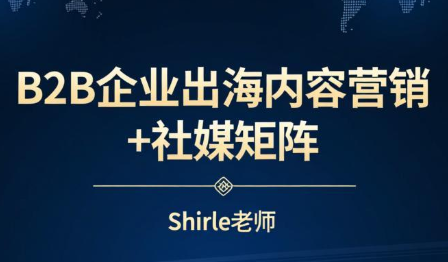 shirle老师·B2B企业出海内容营销+社媒矩阵-小鹏项目网
