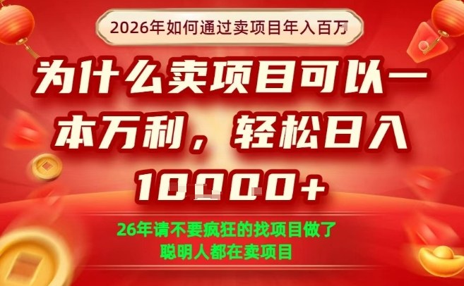 一单净利润1K+，26年想年入100个W，死磕卖项目就够了【揭秘】-小鹏项目网