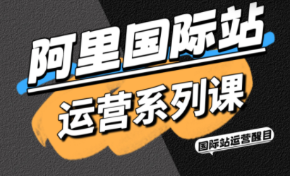 醒目老师·阿里国际站运营系列课(更新3月)-小鹏项目网