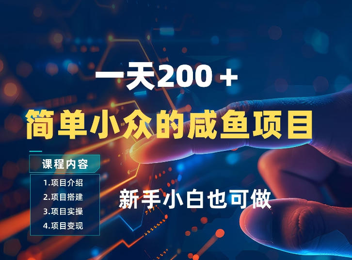 一天收入2张，一个简单小众的咸鱼项目，0门槛小白也能做-小鹏项目网
