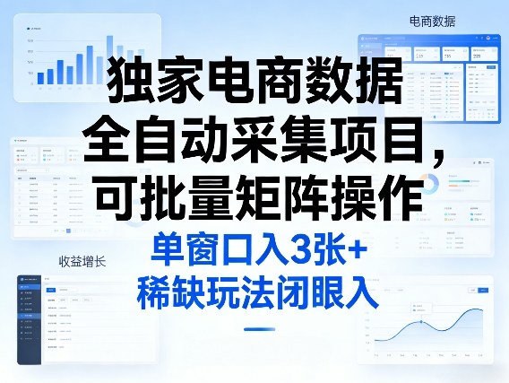 独家电商数据全自动采集项目，可批量矩阵操作，单窗口日入3张+，稀缺玩法闭眼入【揭秘】-小鹏项目网