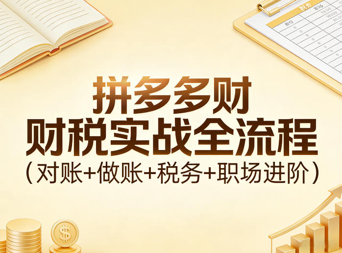 拼多多财税实战全流程(对账+做账+税务+职场进阶)-小鹏项目网