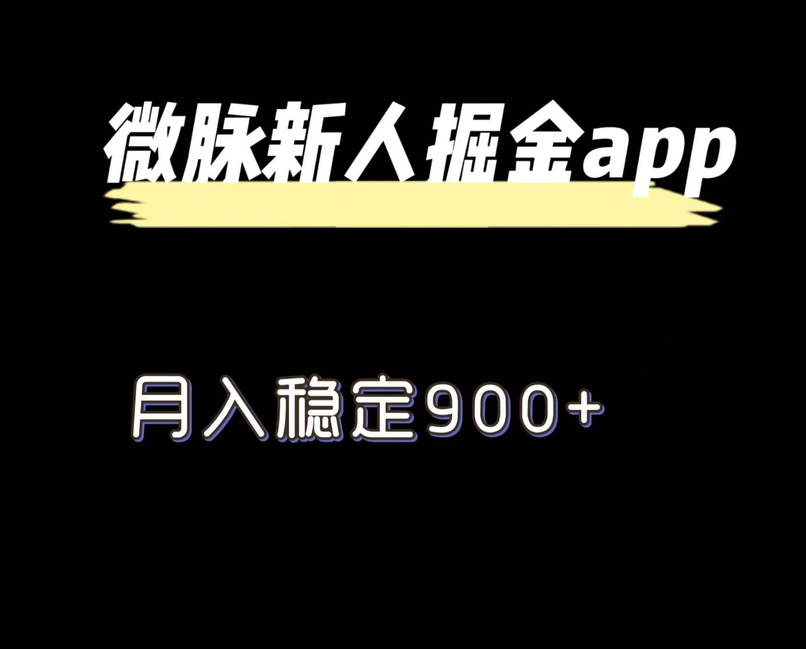 最新微脉长久项目，拉新掘金，月入稳定900+-小鹏项目网